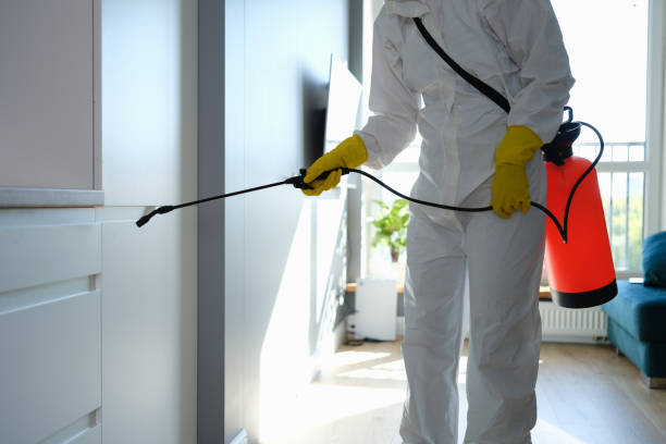 Best Toxic Mold Removal  in Watergate, FL